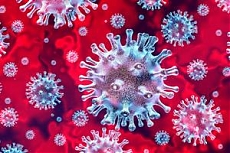 Распоряжение и информация о коронавирусе 